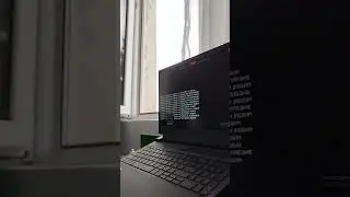 Minecraft (1)