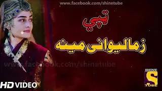 Pashto new songs 2020 | Zama Lewany Meena | Tappay Tapay Tappaezy 2020 | Hd Video Song