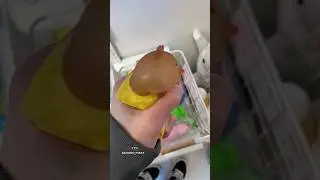 ОБЗОР МАГАЗИНА 😨 КУПИЛ ВСЕ‼️🙀 ОБЗОР ПОКУПОК😅 