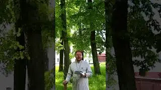 Старцы-отшельники шутят| № 3 #shorts