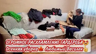 ОГРОМНОЕ РАСХЛАМЛЕНИЕ ГАРДЕРОБА🤩 Осенняя уборка🍁 Любимый Василек👍