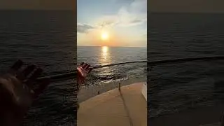 ПРОСПАЛА ВСЮ КРАСОТУ!