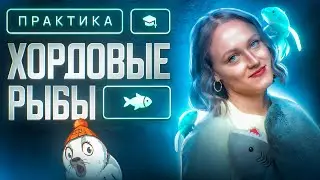 Хордовые. Рыбы | ЕГЭ-2025 по биологии