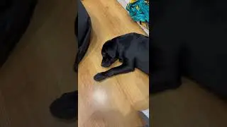 Устала 😥 