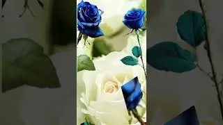 #друзья#моим друзьям#пожеланиядрузьям#позитив#открытки#shortvideos #shortvideo