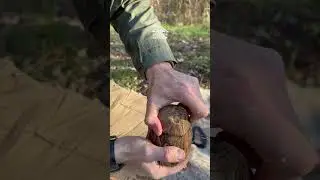 Лесной бокал своими руками