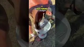 This is How a Smart Farmer Feeds His Chickens 🙌😯