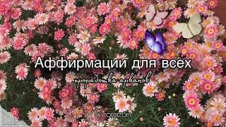 Аффирмации для всех арканов | corazón