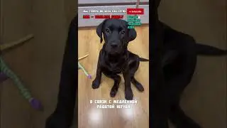 Если вам интересно наблюдать за нами, очень ждём❤️