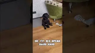 До конца 😜 