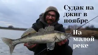 Судак малой реки на джиг в ноябре.