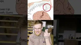 Why EVERYONE has a foot fetish 😜 