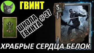 Школа Гвинта #37 - Храбрые Сердца Белок (ЖИРная колода Скоя'таэлей)