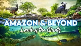 Zoo Tours: Zoo Miami's Amazon & Beyond | PART TWO
