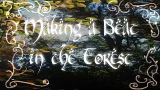 MAKING A BEAT IN THE FOREST