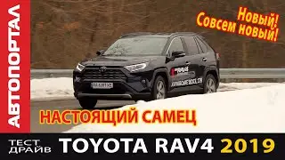 Toyota RAV4 2019 настоящий самец. Первый тест-обзор
