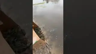 Запуск раков!!! 