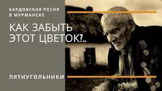 Сон солдата (Т. Колосова - А. Буторин). Бардовская песня в Мурманске.