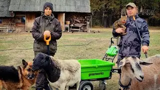 Жизнь на ЧЕРНИЧНОМ ХУТОРЕ в лесу. С Ванькой выполним любые задачи.