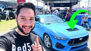 This BASE Mustang GT Is The BEST VALUE For Your Money | AFFORDABLE & FAST!