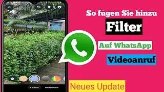 So fügen Sie Filter zu WhatsApp-Videoanrufen hinzu (neues Update 2024) | Verwenden Sie Filter bei
