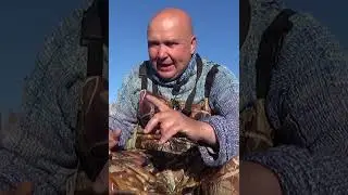 Как поймать диких раков.Основное правило