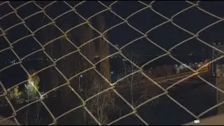 Манифест на антиген