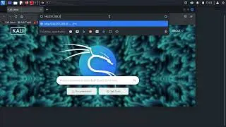Information Gathering  Kali Linux - Nslookup + Whois