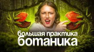 Ботаника. Большая практика | ЕГЭ-2025 по биологии