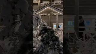 Встреча с цыганами во время заезда в отель со мной случилась впервые 