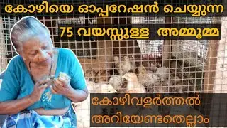 കോഴി വളർത്തൽ അറിയേണ്ടതെല്ലാം / കോഴി കൃഷി /kozhi valarthal