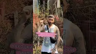 Находки из заброшенной индийской виллы #shorts