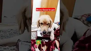 Nini आ रही 