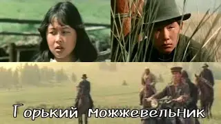 "Горький можжевельник" Советский фильм 1985 год.