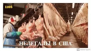 Работа в Америке. Где работают в США нелегальные иммигранты?