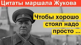 Лучшие цитаты маршала Жукова