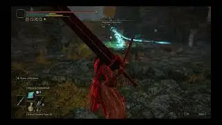 Magnus Beast Claw Invader Fight Elden Ring 2023 08 29