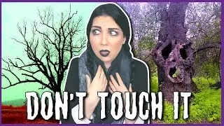 The Cursed Tree You Are FORBIDDEN To Go Near