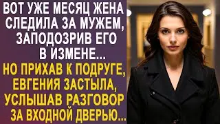 Вот уже месяц жена следила за мужем. Но приехав к подруге в гости в другой город...