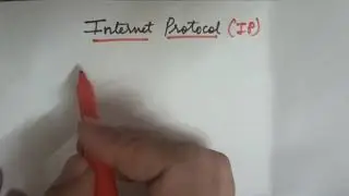 Internet Protocol ( IP)