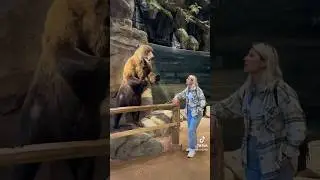 Amerikada 🐻 Gördük 🤭