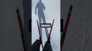 Сравнение PROTEAM BRADOS Fischer RCS