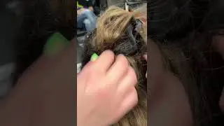 Сколько здесь видов наращивания? Трессы + кольца 🥲