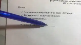 Разбор графика инкубации перепелов. Анализ, учёт инкубирования.