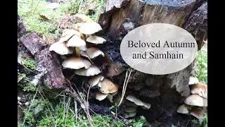 Beloved Autumn and Samhain