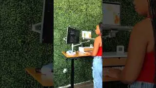 Self-Taught Web Developer