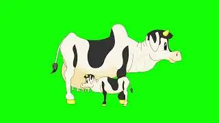 green screen cow cartoon | #greenscreen