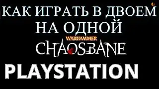 Warhammer Chaosbane Как играть по локальной сети в Кооперативе с одной Playstation