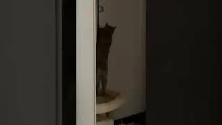 Моя 