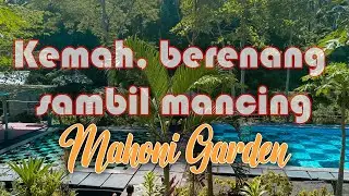 Mahoni garden | Camping, renang dan mancing